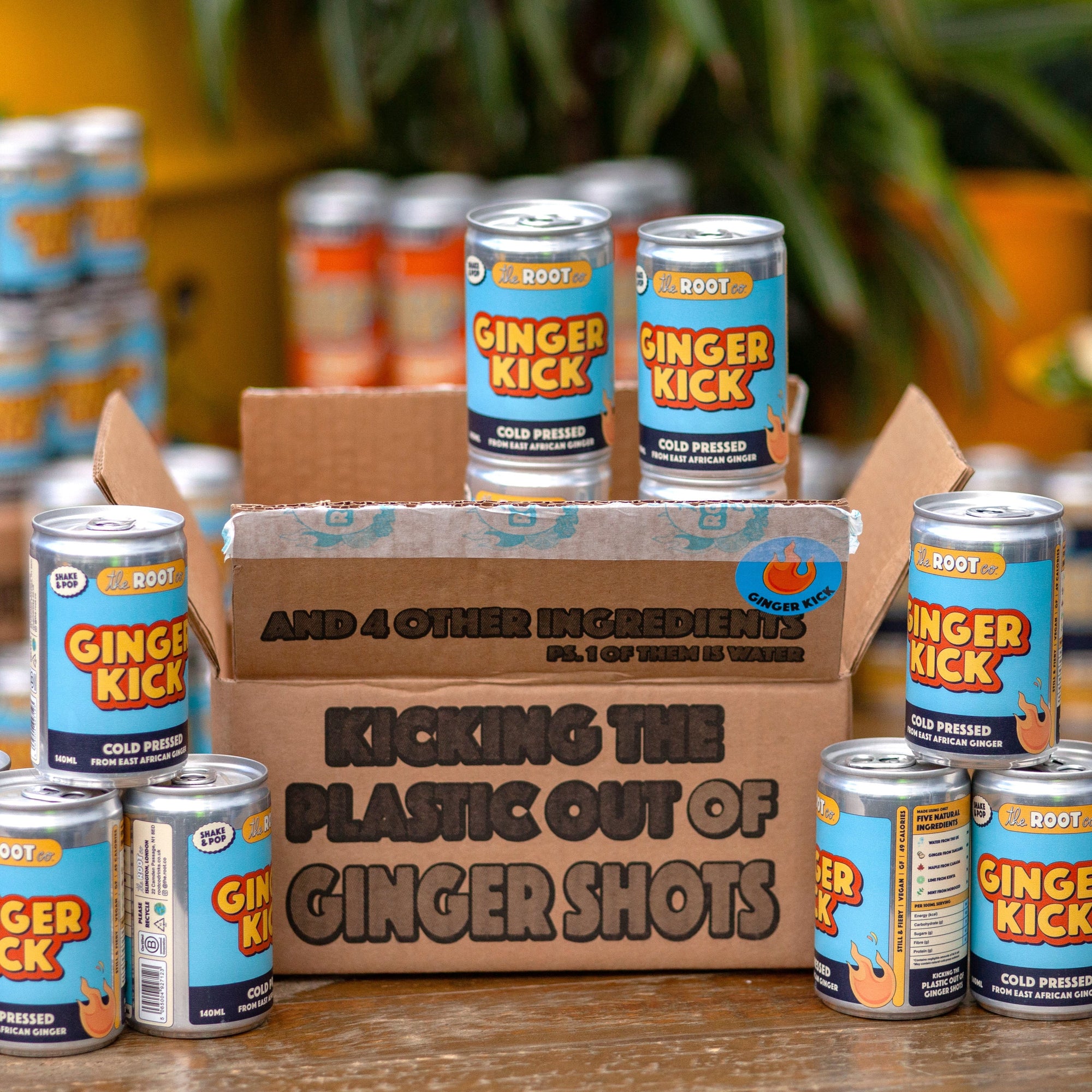 Fiery Ginger Kick