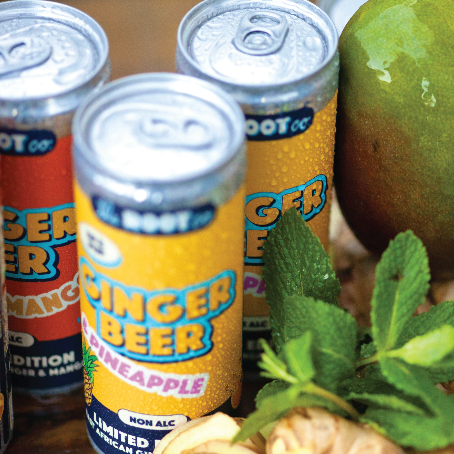 Ltd. Edition Pineapple Ginger Beer